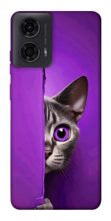 Чохол на Motorola Moto G04 Кіт-підглядач фото 1 з 1