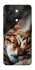 Чехол на OnePlus Nord 3 Cat paws фото 1 из 1