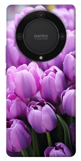 Чехол на Huawei Magic5 Lite Фиолетовые тюльпаны фото 1 из 1