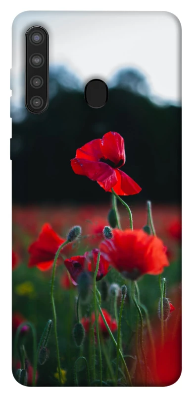 Чехол на Samsung Galaxy A21 Мак фото 1 из 1