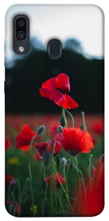 Чехол на Samsung Galaxy A20 / A30 Мак фото 1 из 1