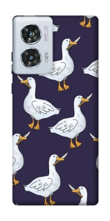 Чохол на Motorola Edge 50 Fusion Гуси з претензією фото 1 з 1