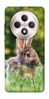 Чехол на Oppo Reno 12 F 4G/5G Кролики фото 1 из 1