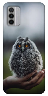 Чохол на Nokia G42 Совеня фото 1 з 1