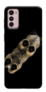 Чохол на Motorola Moto G42 Cat фото 1 з 1