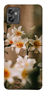 Чохол на Motorola Moto G32 Лілії фото 1 з 1