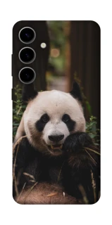 Чехол на Samsung Galaxy S25 FE Панда фото 1 из 1