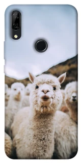 Чехол на Huawei P Smart Z Лама фото 1 из 1