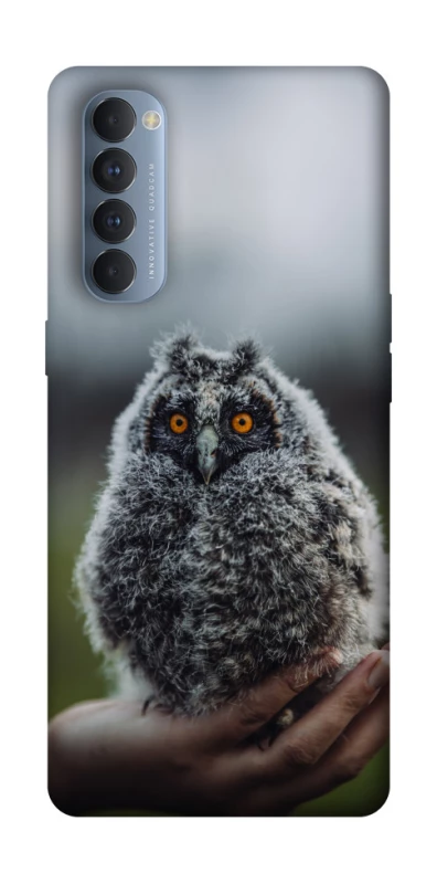 Чохол на Oppo Reno 4 Pro Совеня фото 1 з 1