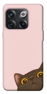 Чохол на OnePlus 10T Peeping cat фото 1 з 1