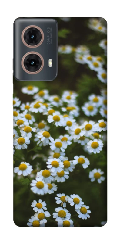 Чохол на Motorola Moto G85 Ромашки v13 фото 1 з 1