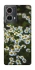 Чохол на Motorola Moto G85 Ромашки v13 фото 1 з 1