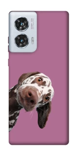 Чехол на Motorola Edge 50 Fusion А что тут фото 1 из 1