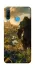 Чохол на Huawei P30 lite Orc фото 1 з 1