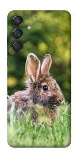 Чехол на Samsung Galaxy M55 Кролики фото 1 из 1