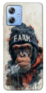 Чохол на Motorola Moto G84 Шимпанзе v3 фото 1 з 1