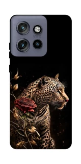 Чохол на Motorola Edge 50 Neo Leopard v3 фото 1 з 1
