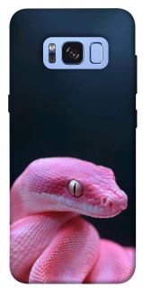Чехол на Samsung G950 Galaxy S8 Розовая Змея фото 1 из 1