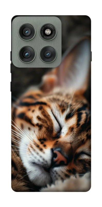 Чехол на Motorola Edge 60 Pro Cat paws фото 1 из 1