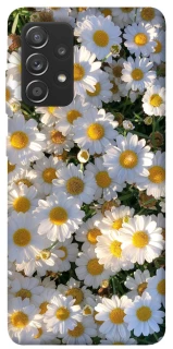 Чохол на Samsung Galaxy A72 4G / A72 5G Поле ромашок фото 1 з 1
