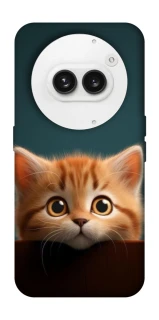 Чохол на Nothing Phone (2a) Чохол Кошеня фото 1 з 1