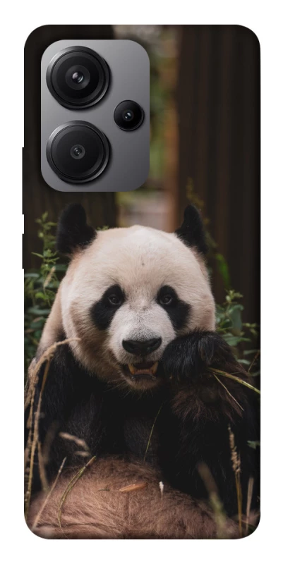 Чохол на Xiaomi Redmi Note 13 Pro+ Панда фото 1 з 1