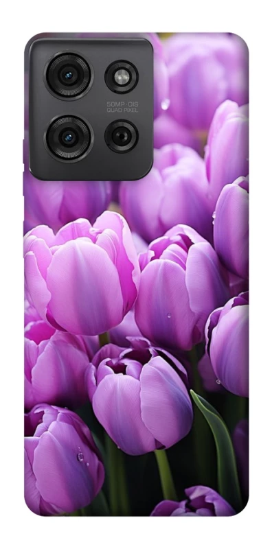Чохол на Motorola Moto G75 Фіолетові тюльпани фото 1 з 1