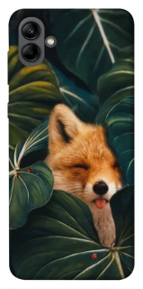 Чехол на Samsung Galaxy A04 Fox фото 1 из 1