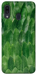 Чохол на Samsung Galaxy A20 / A30 Листя фото 1 з 1