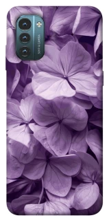 Чохол на Nokia G21 Floral Symphony фото 1 з 1