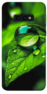 Чохол на Samsung Galaxy S10e Flowers v16 фото 1 з 1