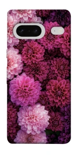 Чехол на Google Pixel 7 Garden1 фото 1 из 1