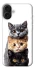 Чохол на Apple iPhone 16 Plus Гарні котики фото 1 з 1