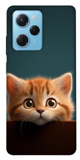 Чохол на Xiaomi Poco X5 Pro 5G Чохол Кошеня фото 1 з 1