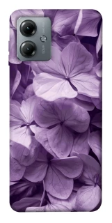 Чохол на Motorola Moto G14 Floral Symphony фото 1 з 1