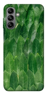 Чохол на Samsung Galaxy A04s Листя фото 1 з 1