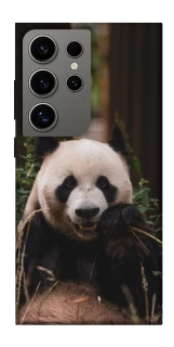 Чехол на Samsung Galaxy S24 Ultra Панда фото 1 из 1
