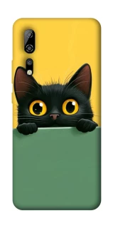 Чохол на ZTE Axon 10 Pro Black cat v2 фото 1 з 1