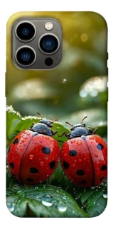 Чохол на Apple iPhone 13 Pro (6.1") Flowers v23 фото 1 з 1