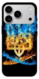 Чехол на Apple iPhone 17 Pro Max (6.9") Герб v16 фото 1 из 1