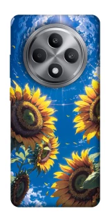 Чохол на Oppo Reno 12 F 4G Sunflowers фото 1 з 1