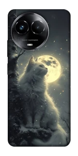Чехол на Realme C67 4G Кот под луной фото 1 из 1