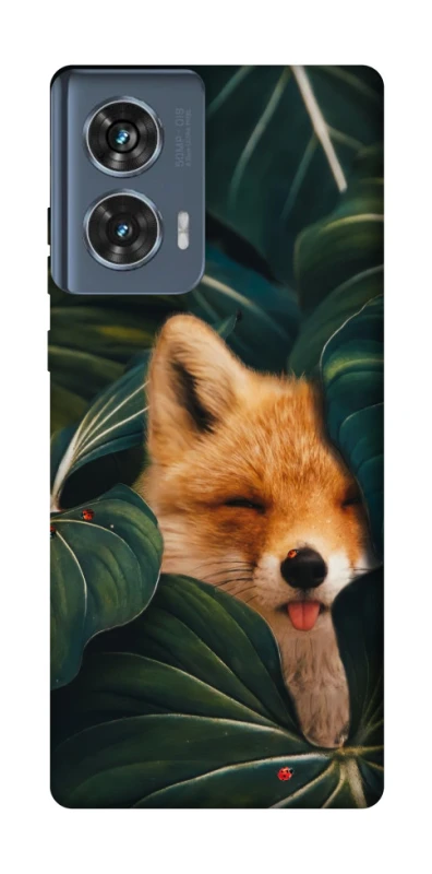 Чохол на Motorola Edge 50 Fox фото 1 з 1