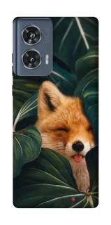 Чохол на Motorola Edge 50 Fox фото 1 з 1