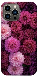 Чохол на Apple iPhone 12 Pro Max (6.7") Garden1 фото 1 з 1
