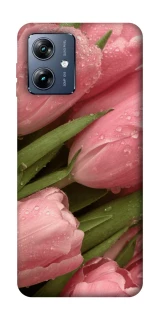 Чохол на Motorola Moto G54 Power Beauty фото 1 Чохол на Motorola Moto G54 Power Beauty фото 1 з 1