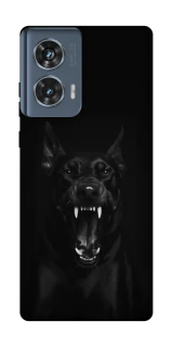 Чохол на Motorola Edge 50 Доберман фото 1 з 1