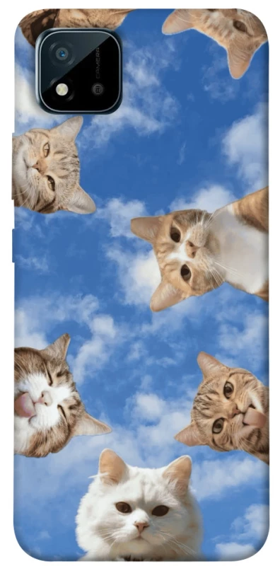 Чехол на Realme C20 Сats фото 1 из 1