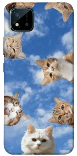 Чохол на Realme C20 Сats фото 1 з 1