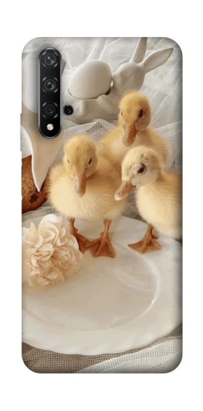 Чохол на Huawei Honor 20 / Nova 5T Easter Vibes фото 1 з 1